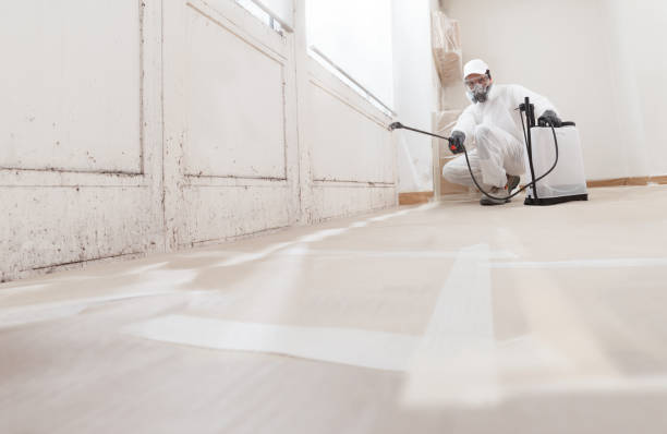 24/7 Emergency Attic Mold Removal experts in Augusta, GA